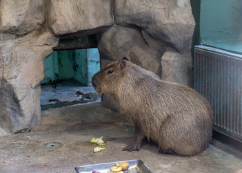 Similar image 21771046