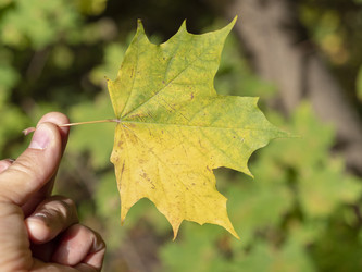 Similar image 21771047