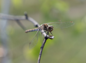 Similar image 21771048