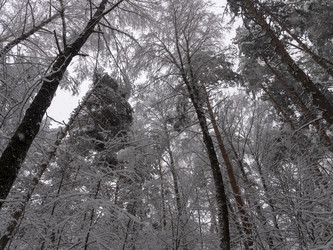 Similar image 21771245