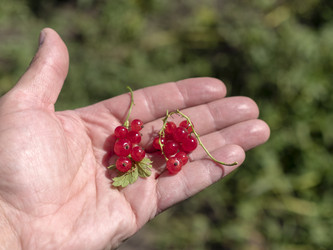 Similar image 21771246