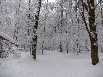 Similar image 21771248