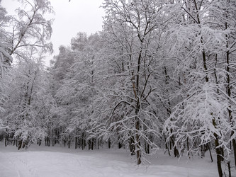 Similar image 21771252