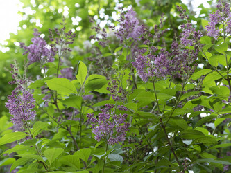 Similar image 21771254