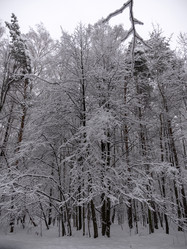 Similar image 21771264