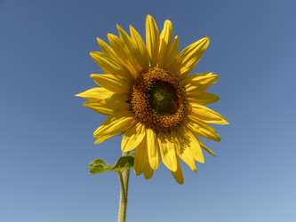 Similar image 21771267