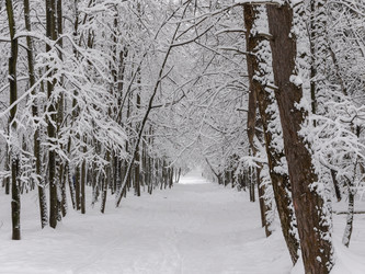 Similar image 21771270