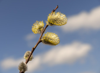 Similar image 21771272