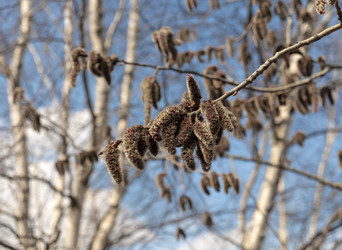 Similar image 21771276