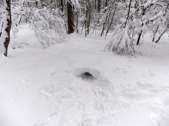 Similar image 21770238