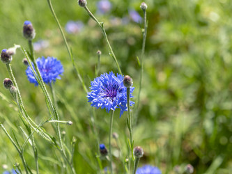 Similar image 21770413