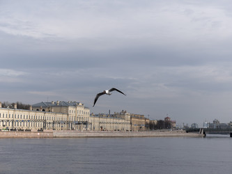 Similar image 21770604