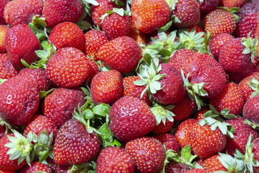 Similar image 21771290