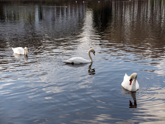 Similar image 21769934