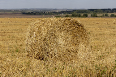 Similar image 21770823