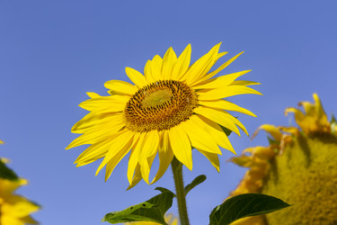 Similar image 21770832