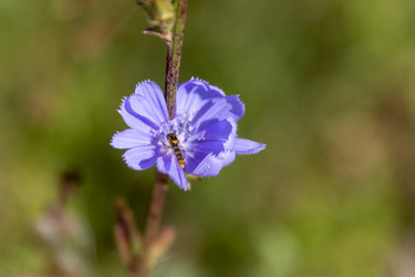 Similar image 21770833