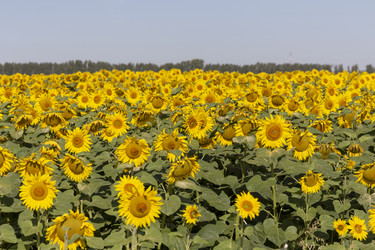 Similar image 21771053