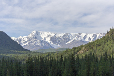 Similar image 21771066