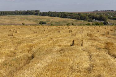 Similar image 21770427