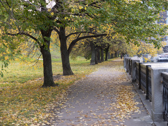 Similar image 21770611