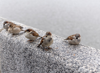 Similar image 21770614