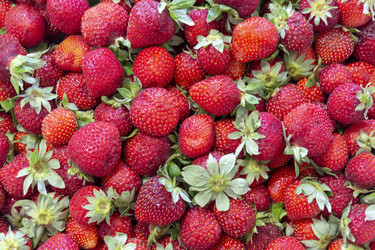 Similar image 21770629