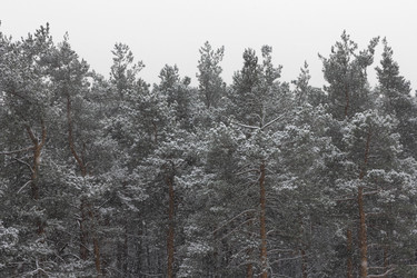 Similar image 21771074