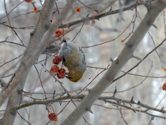 Similar image 21771292