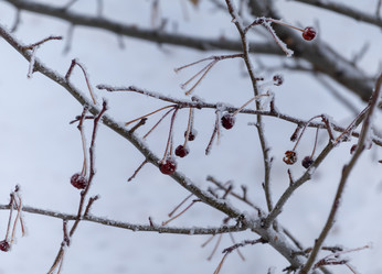 Similar image 21771296