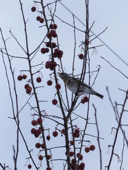 Similar image 21771298