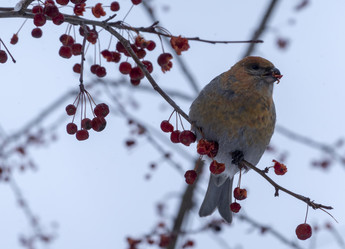 Similar image 21771300