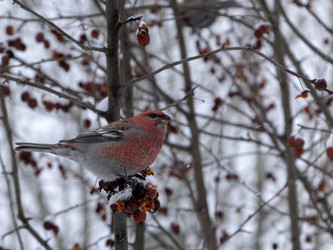 Similar image 21771303