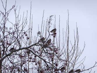 Similar image 21771305