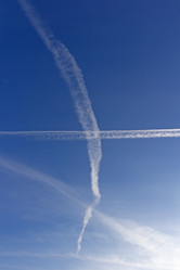 Similar image 21770257