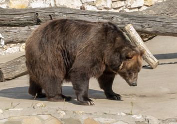 Similar image 21770443