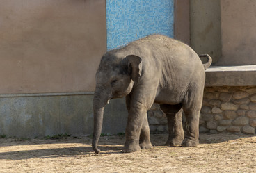 Similar image 21770449