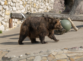 Similar image 21770632