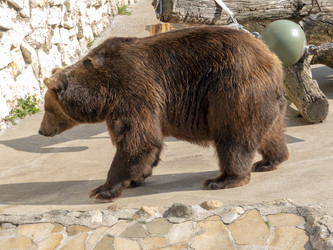 Similar image 21770637