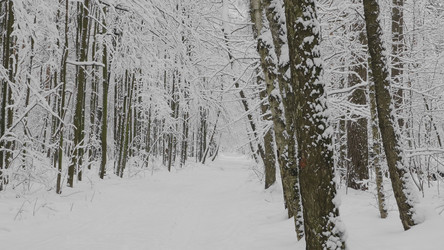 Similar image 21771311