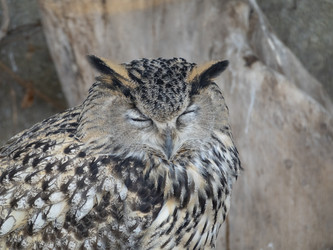 Similar image 21769938