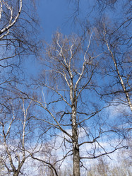 Similar image 21769941