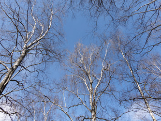 Similar image 21770262