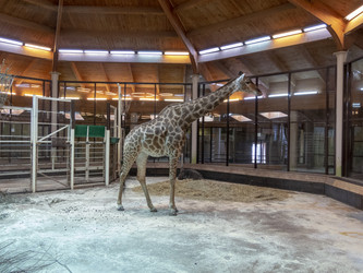 Similar image 21770459