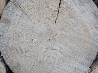 Similar image 21770639