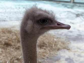 Similar image 21770640