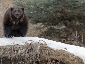 Similar image 21770641