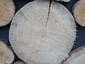 Similar image 21770643