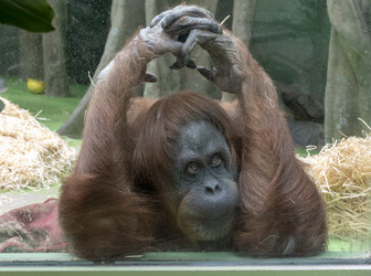 Similar image 21770646