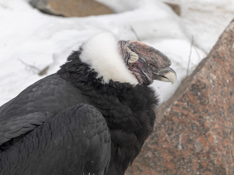 Similar image 21770647